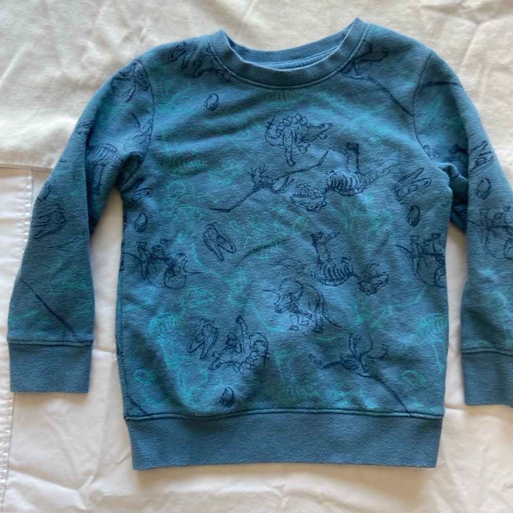 Cat and Jack dino pull over sweatshirt